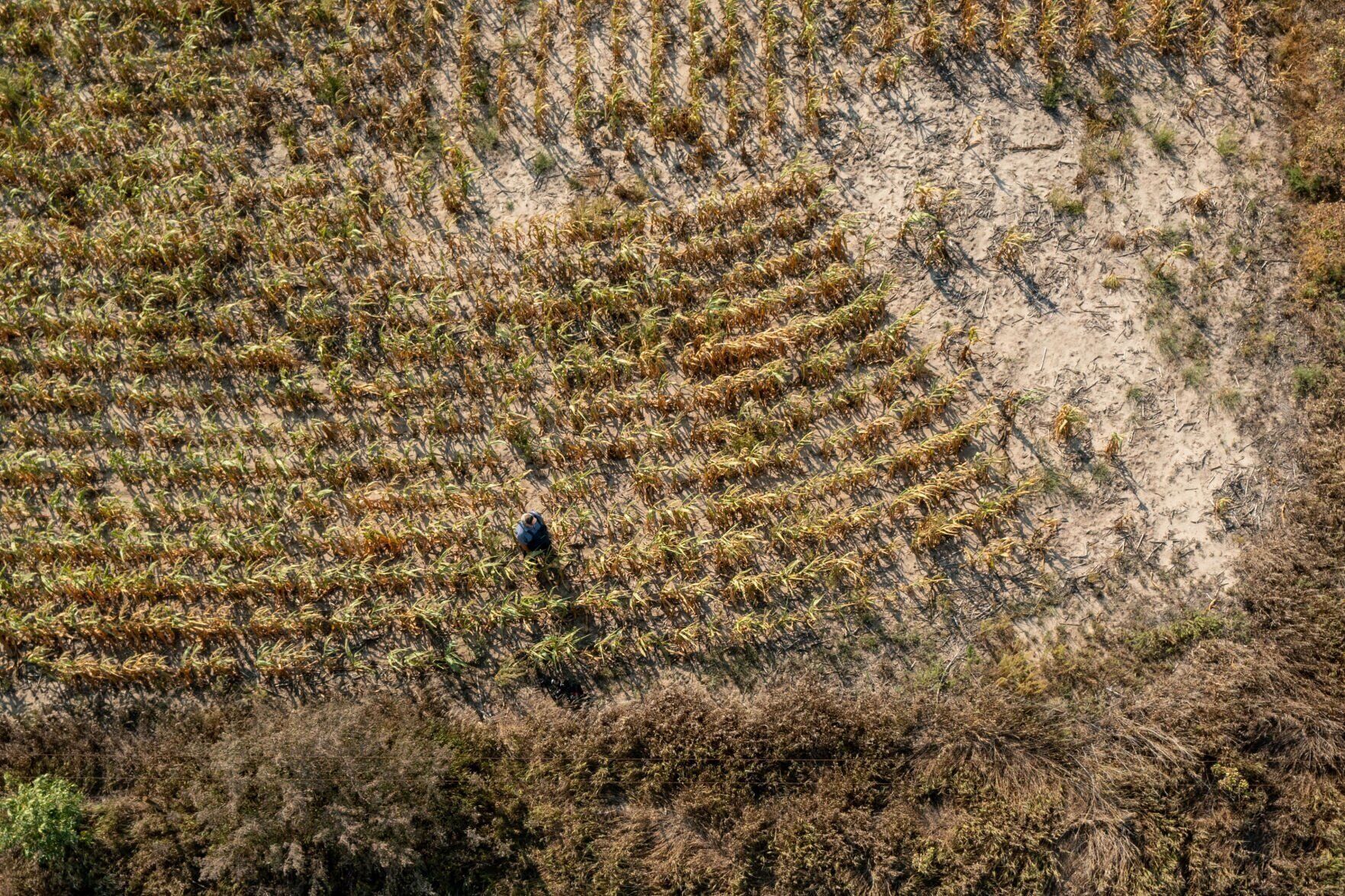 091722-owh-new-agdrought-pic-cm003.jpg